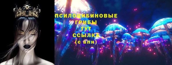 spice Ладушкин
