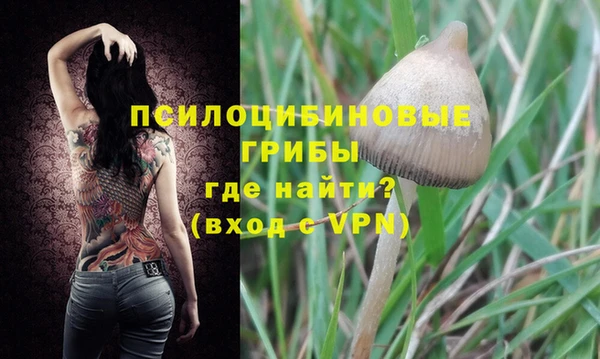 mdma Болотное