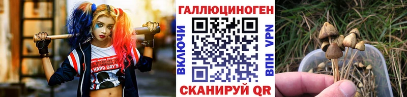 Галлюциногенные грибы MAGIC MUSHROOMS  Льгов 