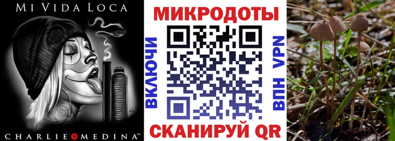 Псилоцибиновые грибы Psilocybe Льгов